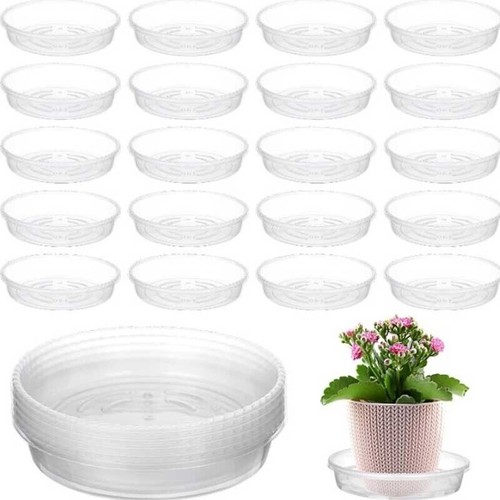Clear round plastic plant - x,