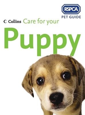 Care for your puppy - care,