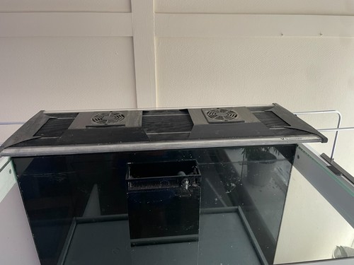 Marine reef aquarium fish tank - reef,