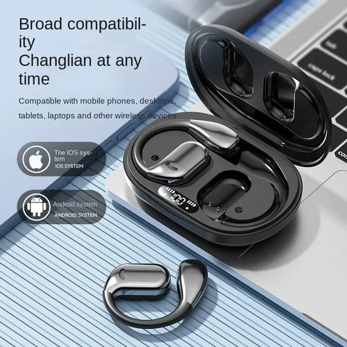 Wireless translator earbuds - wireless,