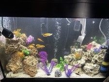 Aqua One Reef 300L Complete