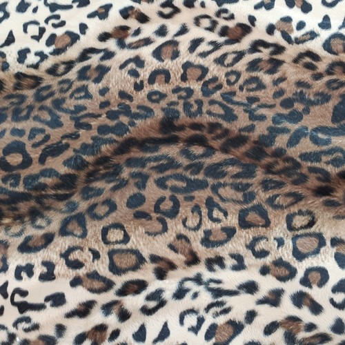 Brown leopard animal - leopard, print
