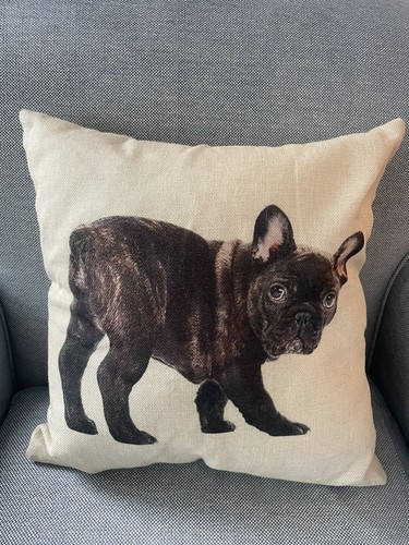 French bulldog print throw - print,