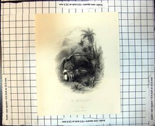 Original Old Antique Print The Missionarys Grave Marked Wooden Cross Natives