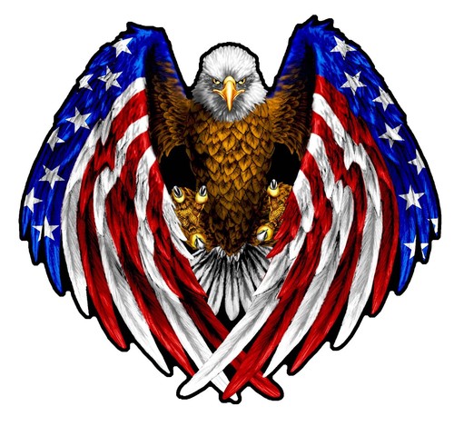 American flag eagle - flag, wings