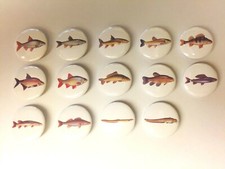 COARSE FISH 25mm Pin Badges