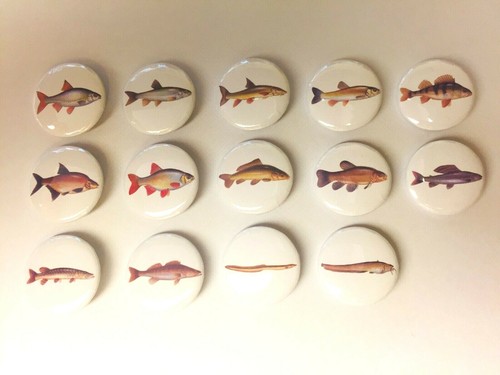 Coarse fish 25mm pin - fish,