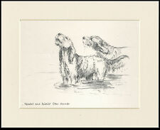 OTTERHOUND KENDAL KENNELS DOGS 1930'S DOG SKETCH PRINT KF BARKER READY MOUNTED