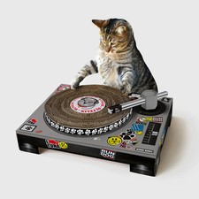 Cat Scratch Turntable – DJ