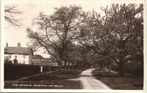Newton ouse near tollerton - near,