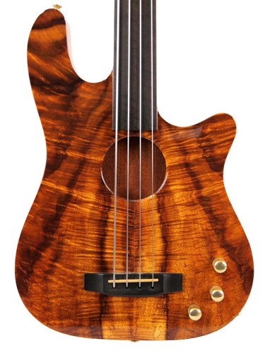 Carvin ac40f acoustic fretless - carvin,