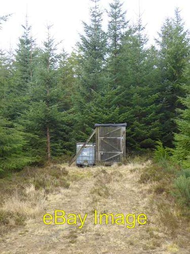 Photo 6x4 cage and water - and, tank