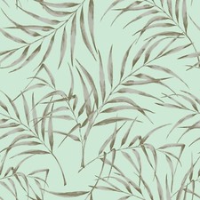 Silver Fern Wallpaper -