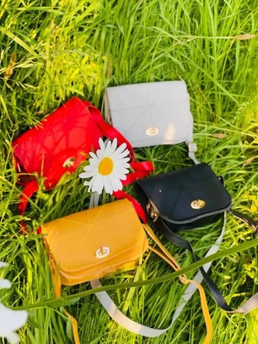 Ladies handbag designer - ladies,