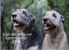 Irish wolfhound A4 Wall