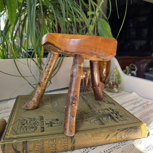 Vintage wooden plant - vintage,
