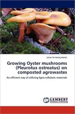 Kortei growing oyster - growing,