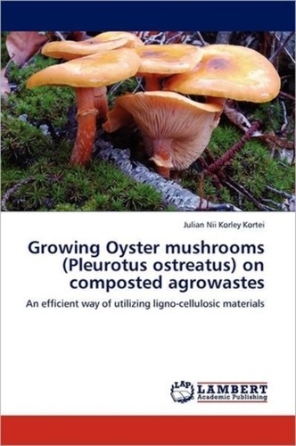Kortei growing oyster - kortei,