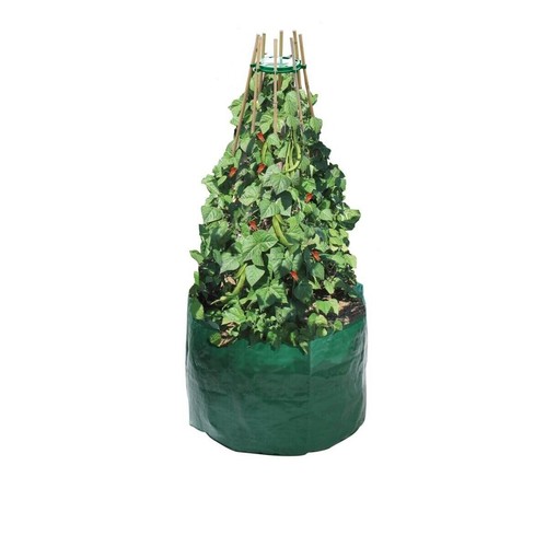 Garland pea bean planter - pea,