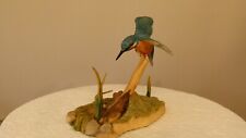 Border fine arts kingfisher