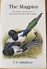 The Magpies - T R Birkhead 1991 1st edition Poyser Hardcover . As New
