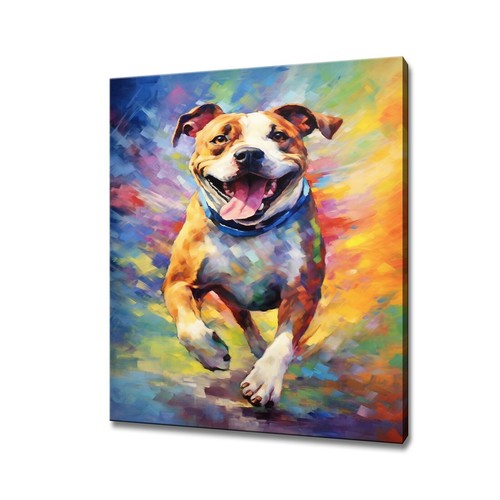 American staffordshire terrier - staffordshire,