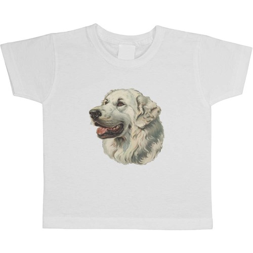 Pyrenean mountain dog - mountain, dog'