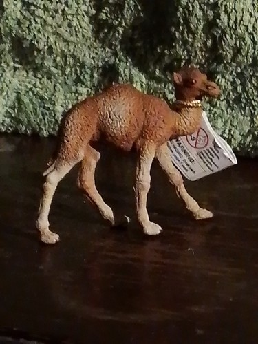 Papo dromedary camel calf - papo,