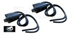 SUZUKI 2x Ignition Coils GSF600 GSF1200 Bandit GSF 600 1200 2 Two C5-01