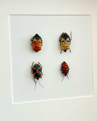 Mounted stink bugs - mounted, framed