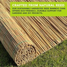 Natural reed fence - natural, screening
