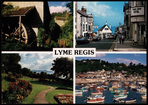 Lyme regis three cups - regis,