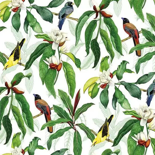 Osborne little curtain - &,