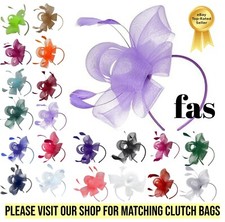 Ladies Net & Feather Looped