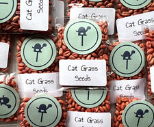 Cat Grass (Wheat Grass) Seeds for Tortoises | Fast-Growing Reptile Forage