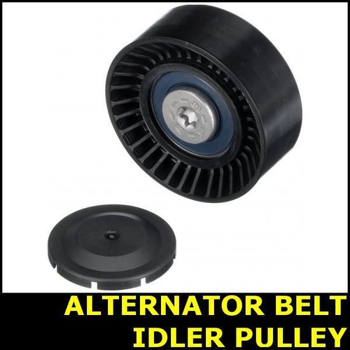 Ribbed belt idler - ribbed,