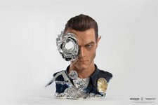 Terminator 2 T-1000 Painted