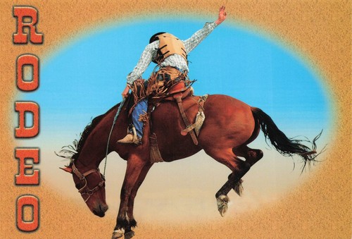 Rodeo cowboy bucking bronco - rodeo,
