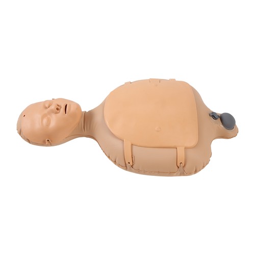Adult and infant manikin - adult,