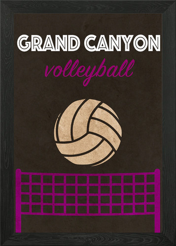 Grand canyon volleyball framed - volleyball,