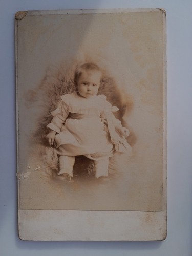Cabinet card cute baby - cabinet,