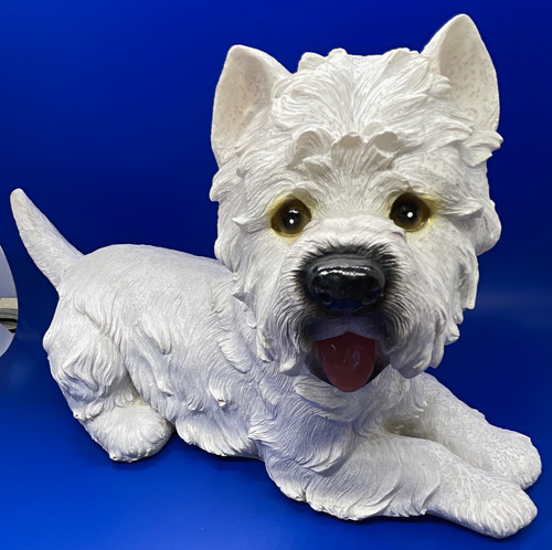 West highland white terrier - highland,