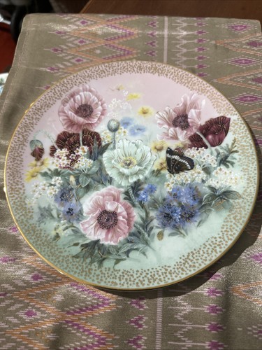 Poppy pastorale symphony - poppy, of