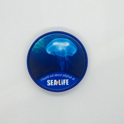 Sea life centre sealife - sea,