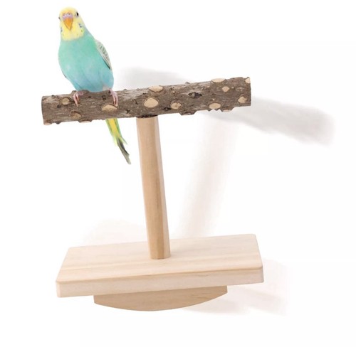 Bird stand perch toy parrot - bird,