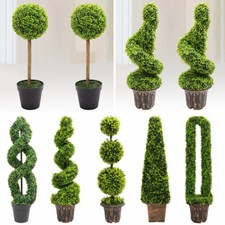 Realistic Potted Topiary Tree