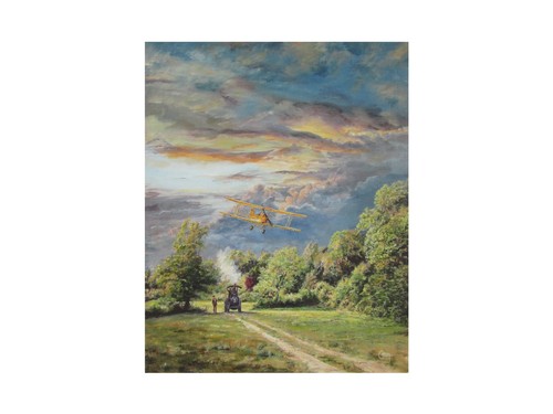 Limited edition tiger moth - limited,