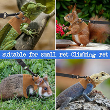 3 Pack Bearded Dragon Harness