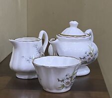 Polly Anna Miniature Tea Set Flowers on white & gold bone China Made in England 