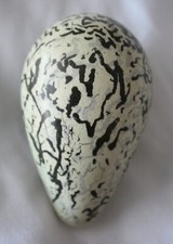 Guillemot replica birds egg - birds,